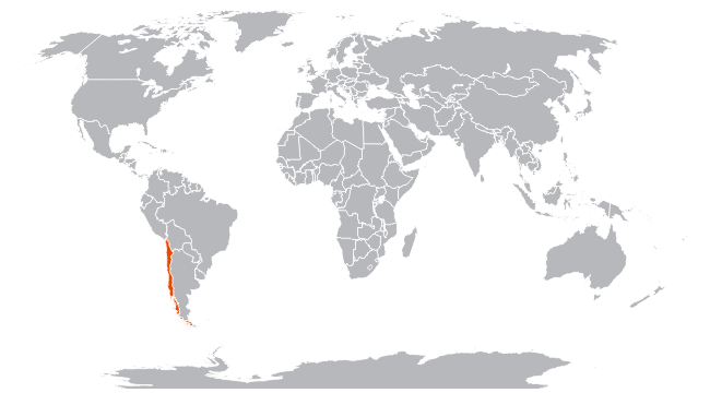 Чили на карте мира